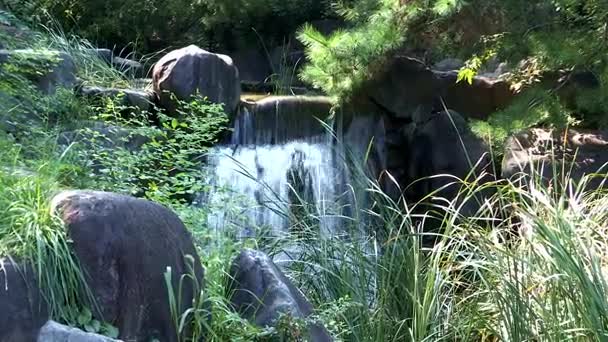 Красивий водоспад серед рослин і скель — стокове відео