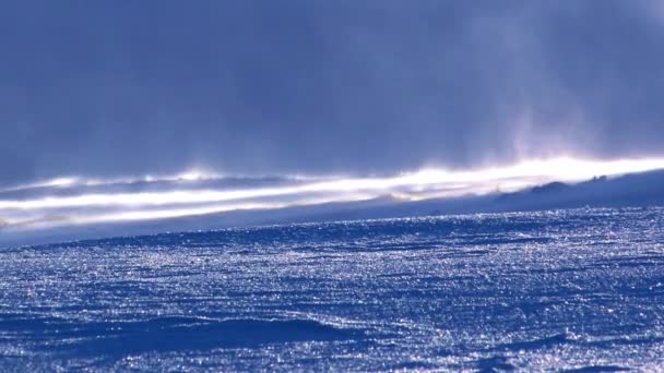 Koude wind waait over sneeuw helling — Stockvideo