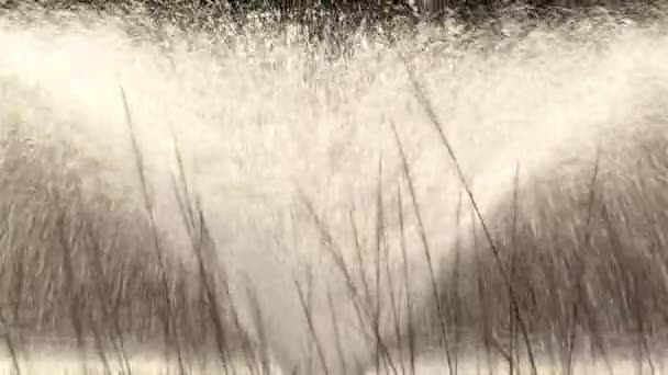 Tryskající kašna v klidném rybníku — Stock video