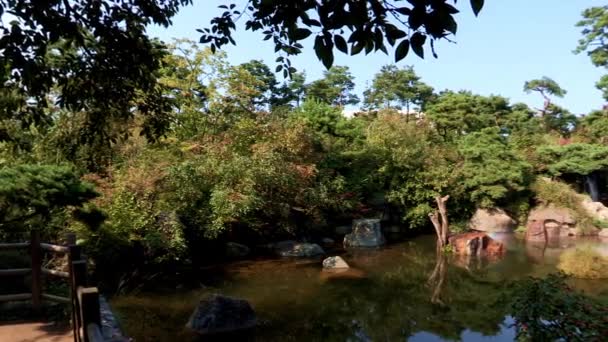 용산 가족 공원에 연못 — 비디오