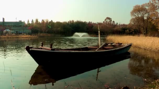 Fontaine dans un étang calme — Video