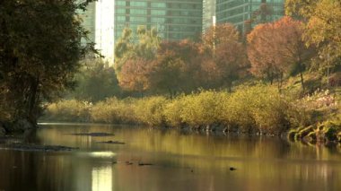 apartman kompleksi güzel göl kıyısında