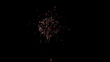 Seul havai fişek Festivali 