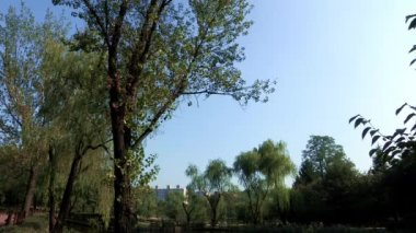 Youngsan Family Park su birikintisi