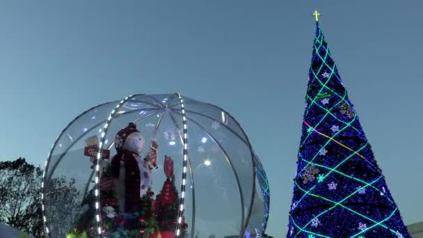 Geschmückter Weihnachtsbaum auf dem Marktplatz — Stockvideo