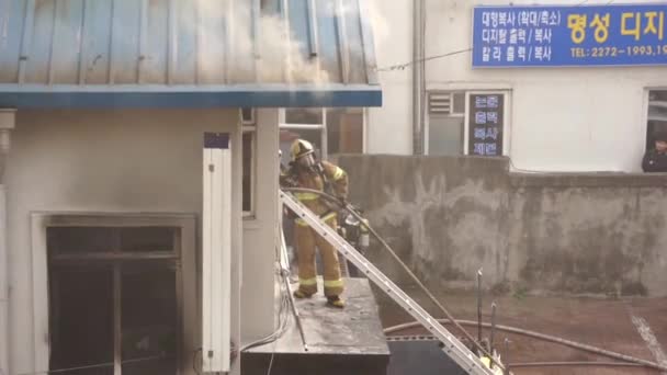 Bomberos Machos Apagando Fuego Afuera — Vídeos de Stock