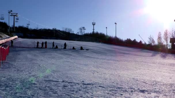 Gruppo di persone a cavallo su slitte su scivolo innevato — Video Stock