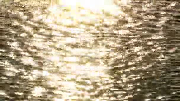 Stralen van de zon weerspiegelt op water — Stockvideo