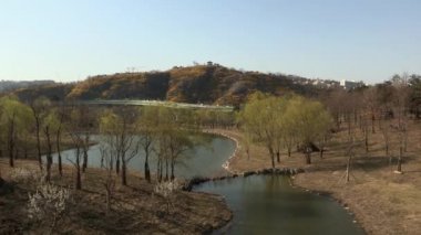 Nehir ve araba trafiği