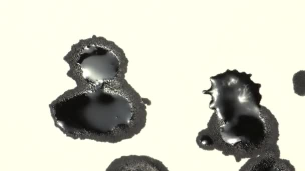 Черные Капли Чернил Падают Бумагу Корейская Традиционная Концепция Каллиграфии — стоковое видео