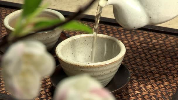 Обрезанный Вид Женского Ручного Приготовления Корейского Традиционного Чая — стоковое видео