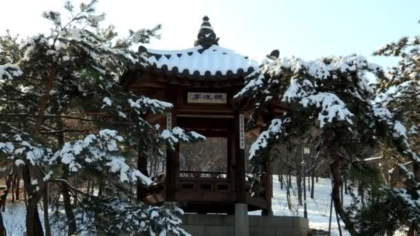 Корейский традиционный дом в деревне Хан Ок — стоковое видео