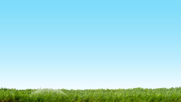 Eco Environment Concept Grass Air Bubble Growing Sprout Blue Background — Stock Video