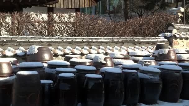 Colección cubierta de nieve de cerámica en el patio — Vídeo de stock