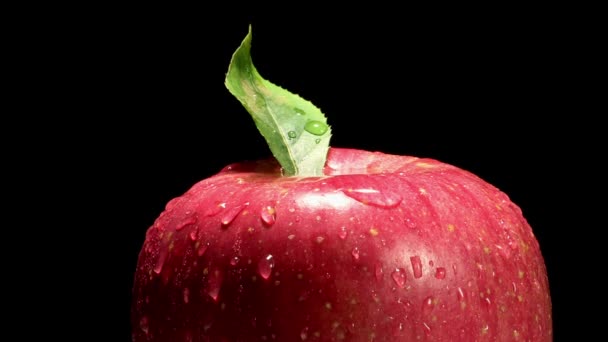 Świeże czerwone jabłko — Wideo stockowe