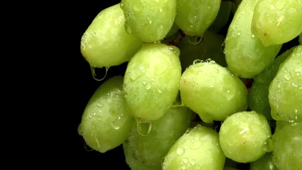 Bunch of green grapes — Stock Video