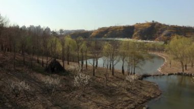 Nehir ve araba trafiği