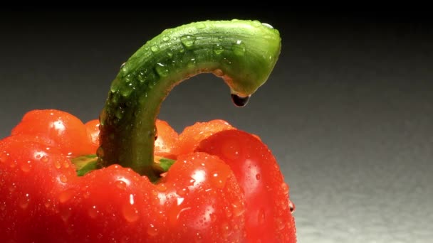 Gotas cayendo de pimienta — Vídeos de Stock