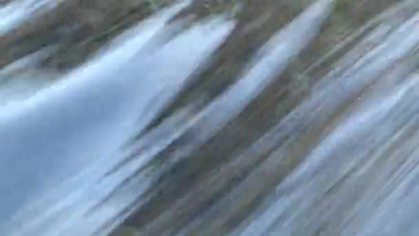 Vue Rapprochée Ruisseau Rapide — Video