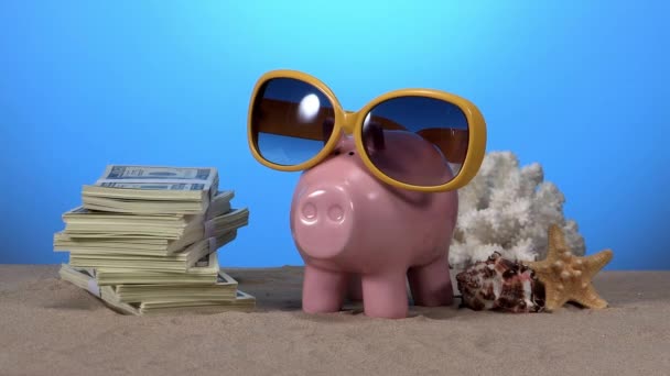 Closeup Piggy Bank Dollars Sunglasses Red Car Ship Diamond Ring — Stock Video