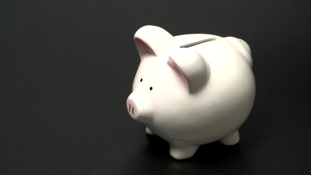 Mão colocando moeda em Piggy Bank — Vídeo de Stock