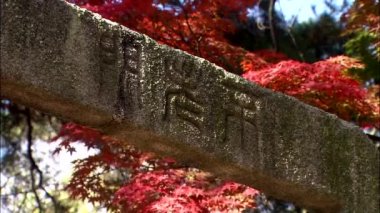 Seul geleneksel Kore Palace alace ayrıntılarını