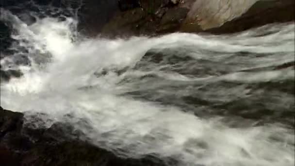 Hermosos flujos fríos de cascada — Vídeo de stock