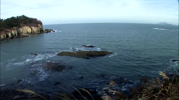 Schwenkaufnahme Von Welligem Meer Küste Und Bäumen Auf Felsen — Stockvideo