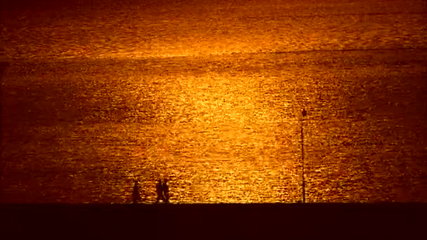 Silhouettes de personnes marchant sur la côte — Video