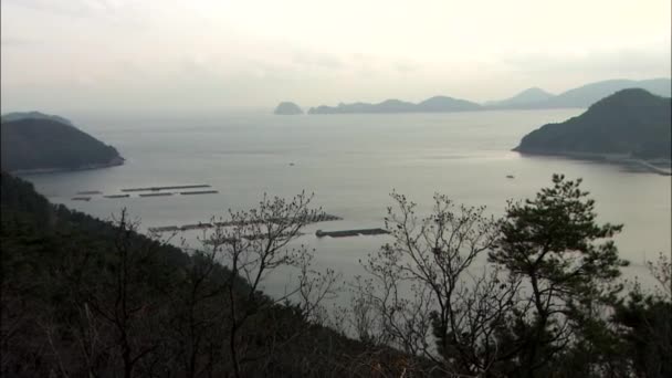 Морський пейзаж з човнами, що плавають у воді — стокове відео