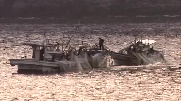 Fishermen floating on fishing boats — Stock Video