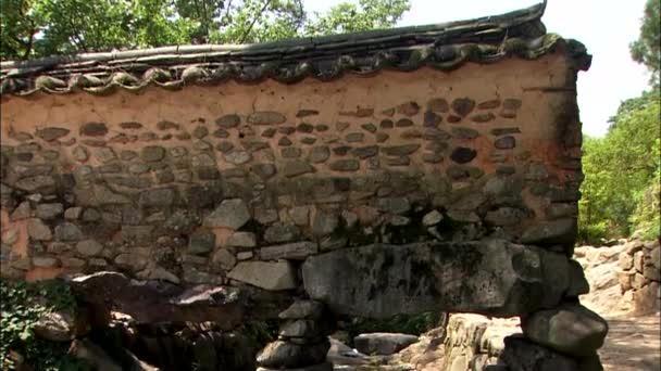 Blick Auf Traditionelle Koreanische Zaun Kleine Bach Und Sattgrüne Pflanzen — Stockvideo