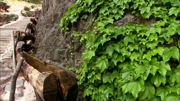Vista Escadas Madeira Alta Entre Árvores Colina Dia Ensolarado — Vídeo de Stock