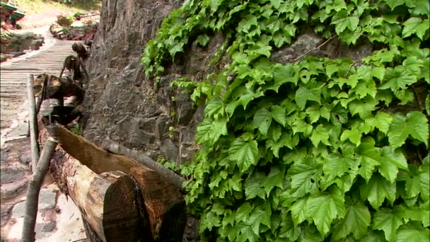 Weergave Van Hoge Houten Trap Onder Bomen Heuvel Zonnige Dag — Stockvideo