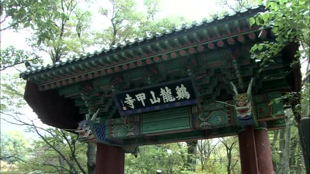 Tradycyjne Koreańskie Łuku Parku Gongju Ungch Ŏng Korei — Wideo stockowe