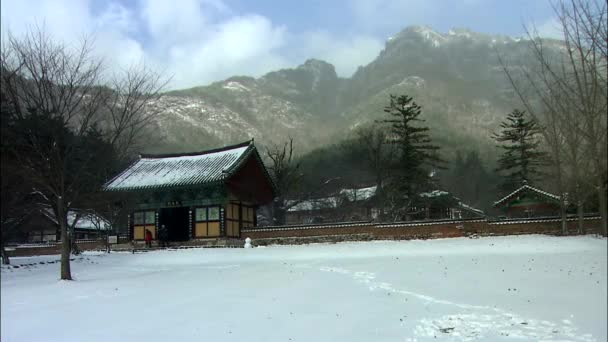 Personas Que Alejan Del Templo Budista Coreano Tradicional Con Montañas — Vídeo de stock