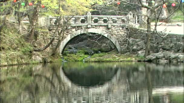 Pont Pierre Travers Étang Jangseong Gun Jeollanam Corée — Video