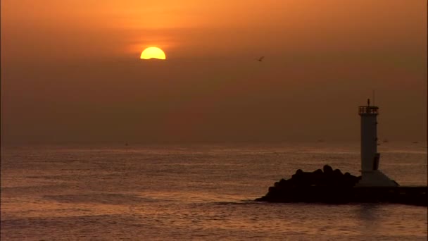 Paisaje marino con faro en la playa de Jumunjin — Vídeo de stock