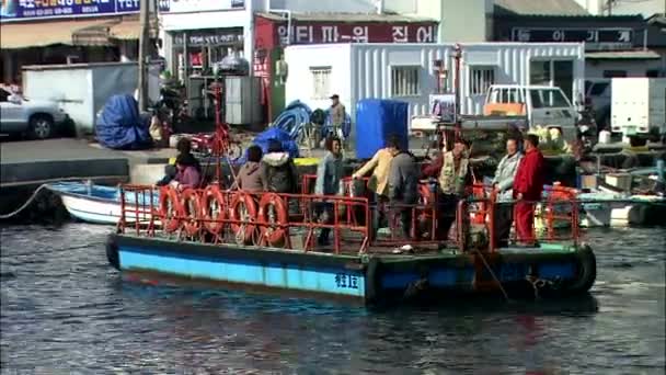 Pråmar Fiskebåtar Förtöjning Område Sokcho Gangwon Sydkorea — Stockvideo