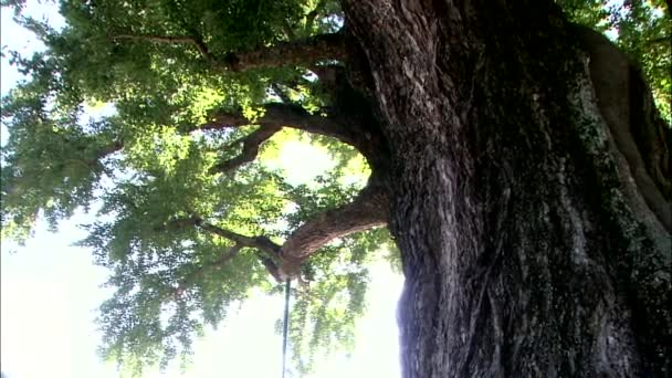 Stockvideo S Boom Rechtenvrije Video S Boom Footage Depositphotos