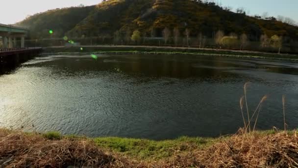 Montaña Yongbongsan en Seúl — Vídeo de stock