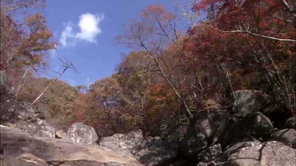 Vista Detallada Las Montañas Jirisan Gurye Provincia Jeollanam Corea — Vídeos de Stock