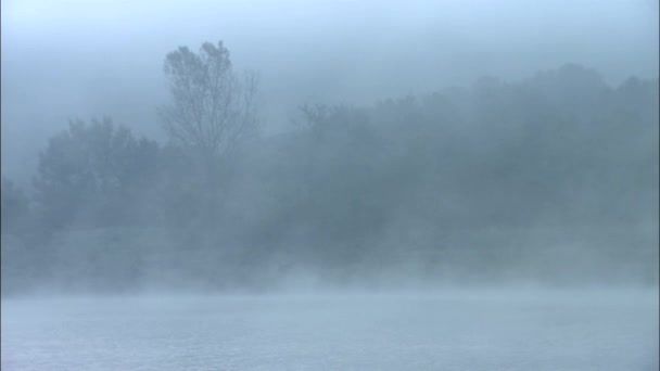 Schneesturm Auf See Mit Bäumen Und Küste Hintergrund Südkorea — Stockvideo