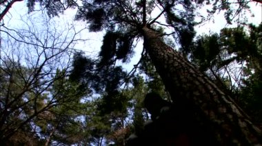 Gangjin-gun,: Jeollanam-do Province, Kore geleneksel evde görünümünü