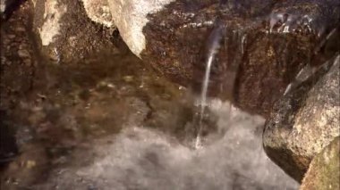 Gurye-si,: Jeollanam-do Eyaleti, Kore manzarada bahar