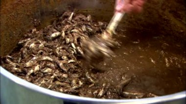 Elle karıştırma ve küçük balıklar tencerede toplama