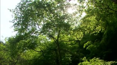 güzel büyük şelale 