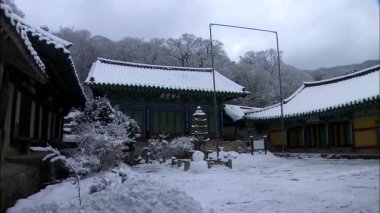 Beş katlı taş Pagoda avluda 