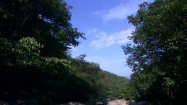 Dağlar ve Jinan-gun, Jeonbuk, Kore şelale ile parlak bahar orman