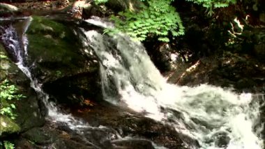 Gosung-si, Gangwon-do, Kore ormanında basamaklı Nehri